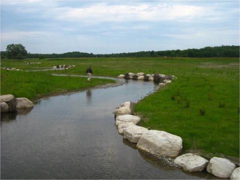 Phot of Blue Jay Creek restoration project